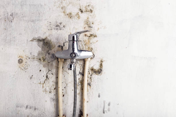 Best Kitchen Mold Remediation in Indian Hills, TX