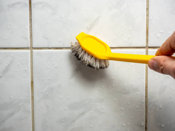 Best Health and Safety Mold Remediation in Indian Hills, TX