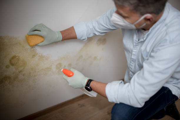 Best Bathroom Mold Remediation in Indian Hills, TX