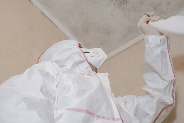 Best DIY Mold Remediation Support Services in Indian Hills, TX