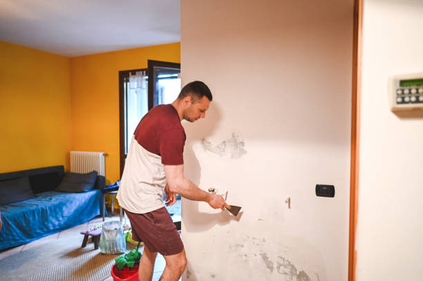 Reliable Indian Hills, TX Mold Remediation Solutions